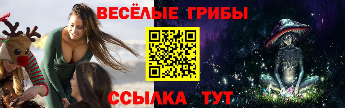 Энгельс  Псилоцибиновые грибы MAGIC MUSHROOMS  Псилоцибиновые грибы Psilocybe  Вход с VPN 